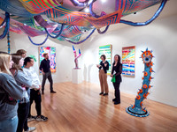 Art Opening